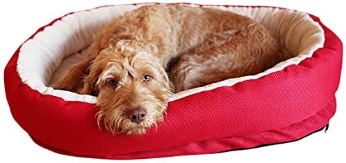Rosewood Red Orthopaedic Dog Bed, 56 x 66cm, 53 x 72 x 15 cm (L x W x H)