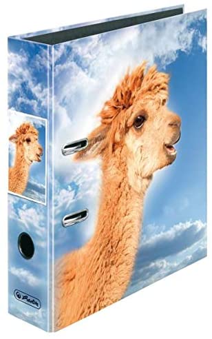 maX.File A4 Folder, Ladylike Birds, 8 cm Spine Width, 1 Item 1 Ordner Lama Profile, Llama profile