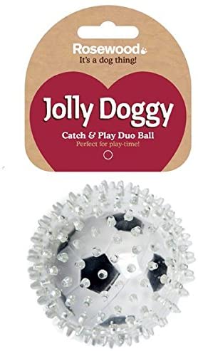 Rosewood Catch & play football, clear - Image 2
