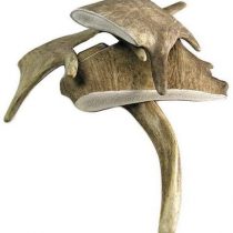 ARTISAN GIFT CO Fallow Deer Antler Chews - 100% Natural – Large (+150g) 1 piece