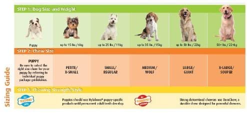 Nylabone Gentle Puppy Dog Teething Chew Toy Bone, Chicken Flavour, Medium, for Puppies Up to 16 kg, Dark Brown - Image 4