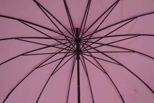 Black Pagoda Stick Umbrella With Polka Dot Ribbed - Image 3