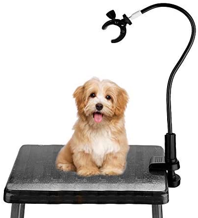 Pet Hair Dryer Holder - 360° Rotatable Hands-Free Grooming Stand for Dogs and Cats Aluminum Alloy Gooseneck with Clamp Mount - Image 2