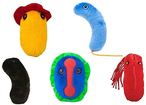 GIANTmicrobes Themed Gift Box - Plagues From History, Multicolor, 5 Count (Pack of 1) - Image 2