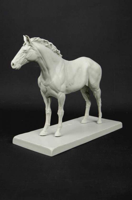 3dtotal Anatomy: Equine figure - Image 3