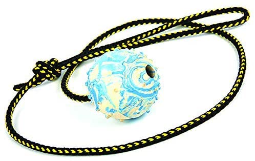 Dingo Fetch Ball Made of Hard Rubber with Knobs and String, Small, for Aport Game Dog Training 17321, RANDOM, 100 cm - Image 2