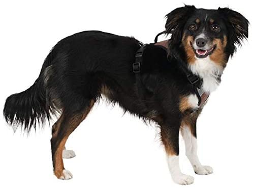 Kerbl Pulsive Dog Harness, 62/85 cm x 72/96 cm, Brown - Image 2