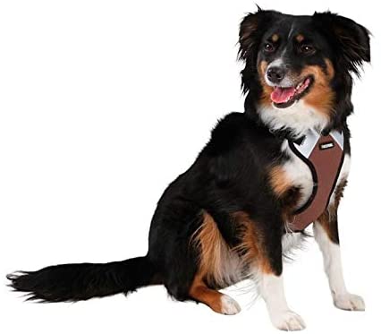 Kerbl Pulsive Dog Harness, 62/85 cm x 72/96 cm, Brown - Image 3
