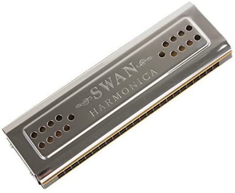 Best DealsOriGlam Professional 24 Holes Key Of C&G Double-side Tremolo Harmonica, Silver - Image 2