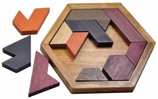Natureich Rätsel Puzzle à emboîter avec Formes géométriques et Briques de Bois pour Enfants à partir de 4 Ans