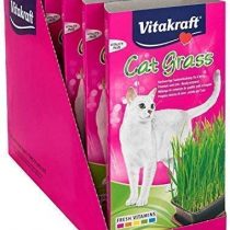 Vitakraft Cat Grass Seed Kit Wheatgrass for Pet, Grow Indoor Treat in Tray 120 Gram (Pack of 6)
