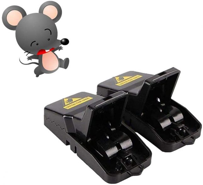 Mousetrap movie picture