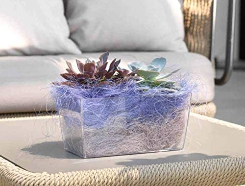 Teraplast 10447030 - Plant pot, 30 x 15 x 14 cm, transparent, 30x15x14 cm - Image 4