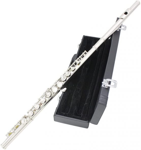 Andoer Flute, Western Concert Flute - Cupronickel Plated Silver 16 Holes C Key Flute Woodwind Instrument with Cleaning Cloth Stick Gloves Padded Carrying Case - Image 2