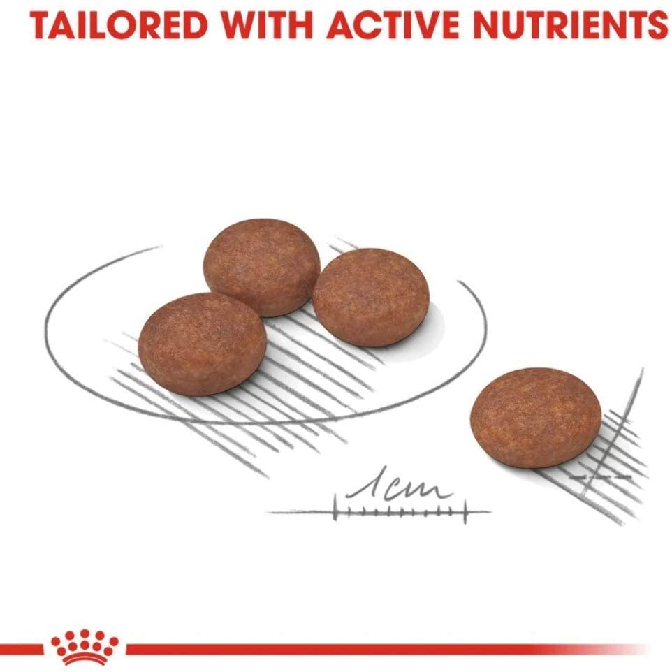 ROYAL CANIN Mini Digestive Care - 3kg, 3 kg (Pack of 1) - Image 3