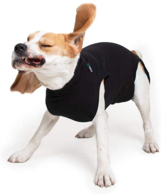 Suitical Recovery Suit Dog, Small Plus, Black - Image 3