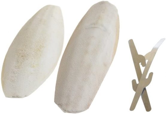 Emourspuk Natural Cuttlefish Bone for Reptiles, Tortoises, Snails, Birds and Small Animals, 4-6 inch, Twin Pack - Image 2