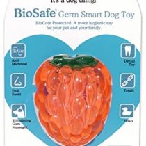 Rosewood Raspberry BioSafe Dog Toy