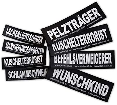 Julius-K9 Original Interchangeable Patch, Small, Black, In Training - Image 2