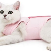 Cat Professional Recovery Suit for Abdominal Wounds or Skin Diseases, E-Collar Alternative for Cats and Dogs, After Surgery Wear, Home Clothing (M, Pink)