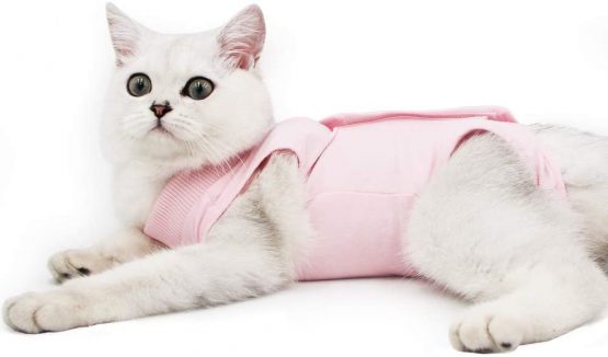Cat Professional Recovery Suit for Abdominal Wounds or Skin Diseases, E-Collar Alternative for Cats and Dogs, After Surgery Wear, Home Clothing (M, Pink)