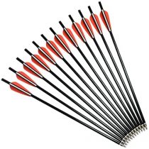 YLA Crossbow Bolts Arrows 14" 16" Fiberglass Shafts Outdoor Hunting Targets Practice with Changeable Tips (12 pcs/pack)