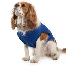 Ancol Pet Cooling Coat Medium 40 cm