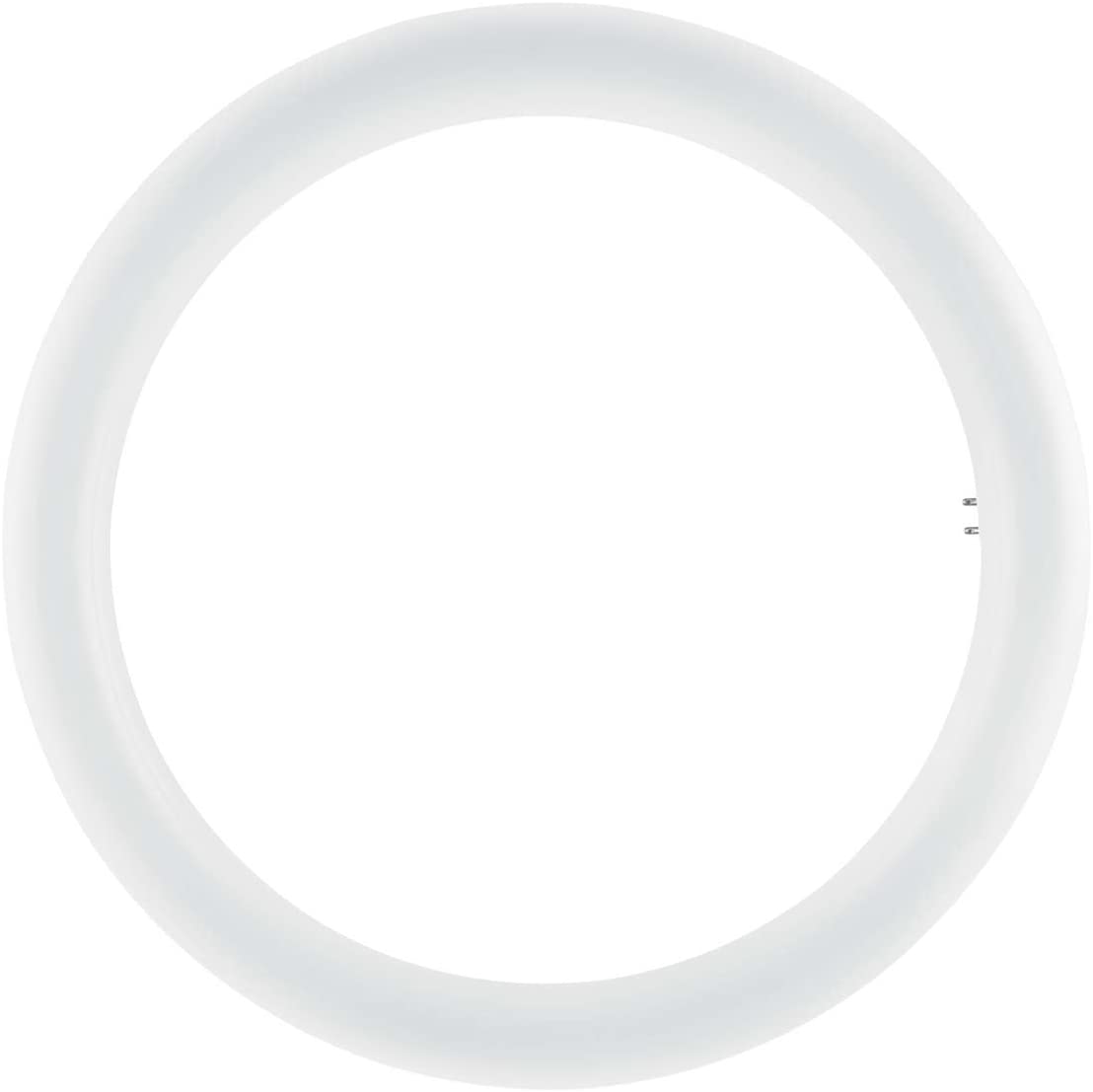 Osram LED lamp Socket: G10Q, White, 20 Count (Pack of 1)