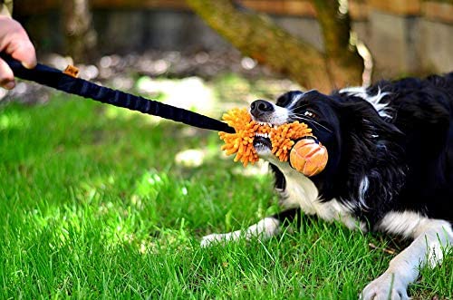 DINGO Floatable Tug Toy with a Flavoured Ball and Bungee Handle, Handmade Dog Chaser for Play Tug of War, Agility, Fetch - Image 4