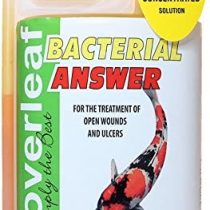 Cloverleaf BA1LTR/4 Bacterial Answer, 1 Liter, Brown, 14x6x25 cm