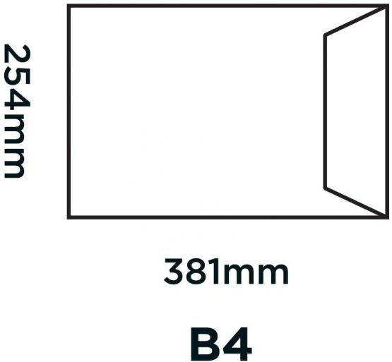 Blake Purely Everyday 381 x 254 mm 115 gsm Pocket Self Seal Envelopes (13890) Manilla - Pack of 250 - Image 2