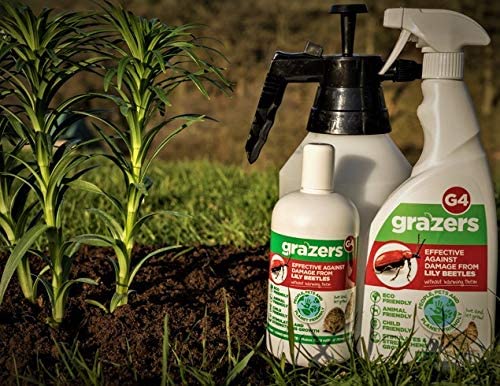Grazers G4 Concentrate 350ml Effective against Lily Beetle Damage. Makes 7 Litres of Eco Spray, Nylon/a - Image 2