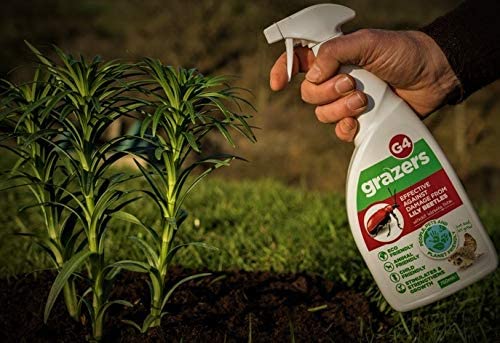 Grazers G4 Concentrate 350ml Effective against Lily Beetle Damage. Makes 7 Litres of Eco Spray, Nylon/a - Image 3