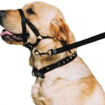 Ancol Nylon Training Halter. Size Medium ( 3-4) 52 cm around neck/ 30 cm around snout