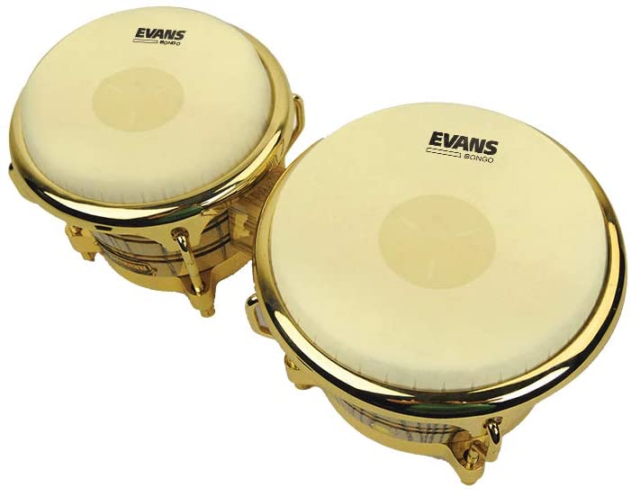 Evans TriCenter 7.25 inch Bongo Drum Head BigaMart