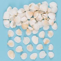 Baker Ross AG838 Mini Natural Shells (Pack 150) for Kids Arts and Crafts, Cream
