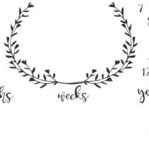 Baby Photography Prop Milestone Blanket Baby Boy Baby Girl Weekly Monthly Yearly Swaddling Blanket Photography Backdrop (Olive Branches, 100 X 100 cm)