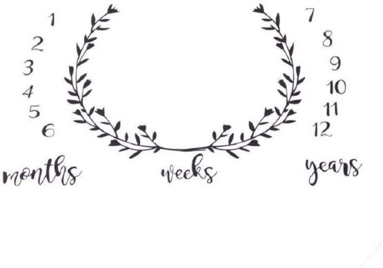 Baby Photography Prop Milestone Blanket Baby Boy Baby Girl Weekly Monthly Yearly Swaddling Blanket Photography Backdrop (Olive Branches, 100 X 100 cm)