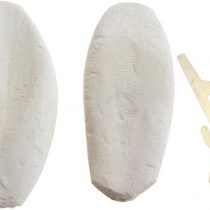 Emourspuk Natural Cuttlefish Bone for Reptiles, Tortoises, Snails, Birds and Small Animals, 4-6 inch, Twin Pack