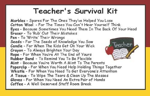 Survival Kit In A Can Teacher Fun & Unique Novelty Gift Set. Thank you Teacher Appreciation Gifts. Birthday, Christmas - Image 2