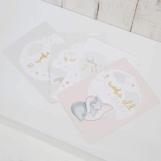 Disney Baby Dumbo 24 Keepsake Photo Prop Cards for Babies Every New Step & Change - Image 3