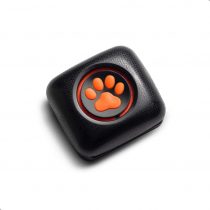 PitPat Dog Activity and Fitness Monitor (no GPS) - Lightweight and waterproof with no recharging or subscription (latest version, as seen on TV)