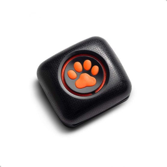 PitPat Dog Activity and Fitness Monitor (no GPS) - Lightweight and waterproof with no recharging or subscription (latest version, as seen on TV)