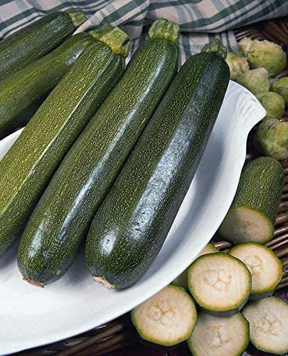 PREMIER SEEDS DIRECT - COURGETTE - Green Bush - 50 Finest Seeds