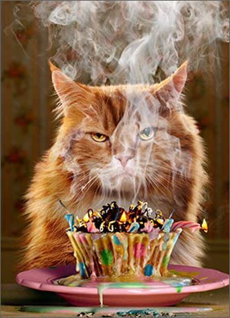 Humorous Birthday Card (AVANTI200112) - Ginger Cat - Another Year... Another Blaze of Glory, multicolor, 13cm x 17cm