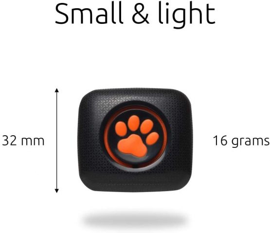 PitPat Dog Activity and Fitness Monitor (no GPS) - Lightweight and waterproof with no recharging or subscription (latest version, as seen on TV) - Image 3