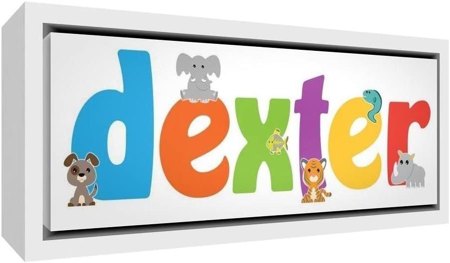 Feel Good Art Cute Illustrative Design Framed Box Canvas with Solid White Wooden Surround (19 x 46 x 3 cm, Small, Dexter)