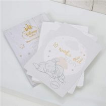 Disney Baby Dumbo 24 Keepsake Photo Prop Cards for Babies Every New Step & Change