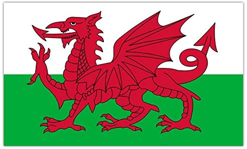 Storm&Lighthouse Welsh Flag Cymru Wales Flag 5ft x 3ft with Eyelets St Davids Day Red Dragon Six Nations UK