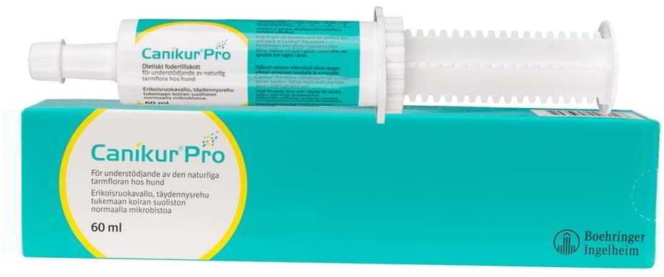 Canikur Pro Paste Syringe - 60ml, clear, 60 ml (Pack of 1)